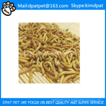 Comida de pássaro selvagem secas Mealworms